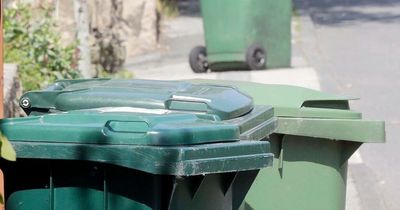 Green bin sticker row sees city council seek answers from Royal Mail