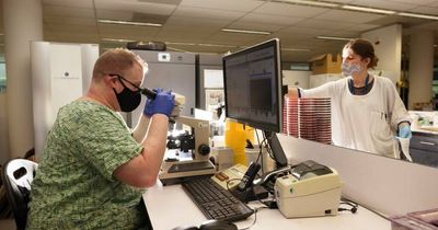 New ACT COVID-19 cases rise over 1000 after six-day lull