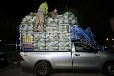 Illegal job seekers found hiding under cabbages in pickup trucks