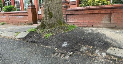 Manchester estate residents' fuming after roads resurfaced 'for no reason' are WORSE than before