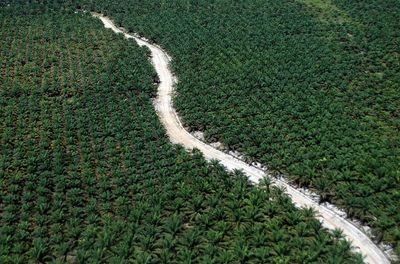 Indonesia navy seizes two tankers carrying palm oil