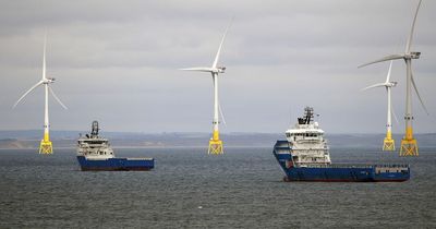 Re-invest ScotWind windfall to improve supply chains, government told