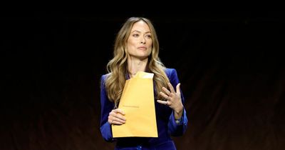 Olivia Wilde in shock after being 'served custody papers while on stage'