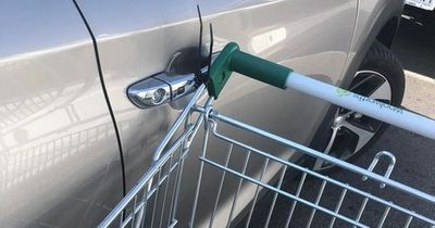 Stranded shopper asks for help after returning to car to find TROLLEY cable-tied to door