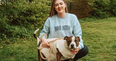 PrettyLittleThing launch matching dog and owners collection and it's the cutest