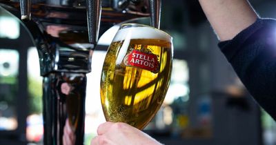 'Summer beer drought' warning as Budweiser and Stella Artois brewers vote for strike