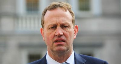 'Homophobic' gangs 'prowling' city centre streets looking for people to attack, says TD