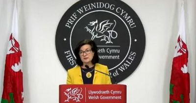 Wales health minister Eluned Morgan criticised for repeatedly breaking the law by the Standards Commissioner