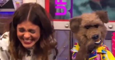 Hilarious CBBC blooper becomes unlikely viral meme as presenter cracks up at dog co-host