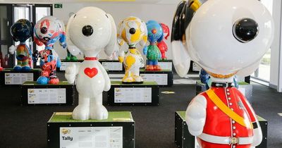 A Dog's Trail: All of Cardiff's Snoopy sculptures relocated after spate of vandalism