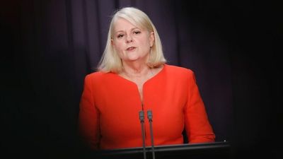 Home Affairs Minister rejects Labor's request for intelligence briefing following 'political interference' comments