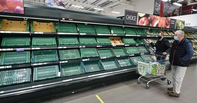 UK farmers can't afford to plant crops for next season due to rocketing fuel and fertiliser costs, minister told