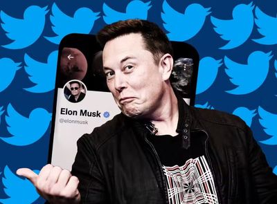 Twitter revenue reaches $1.2bn and daily users increase to 229m amid Elon Musk takeover