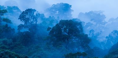 Forests in the tropics are critical for tackling climate change – yet the people showing how are being exploited