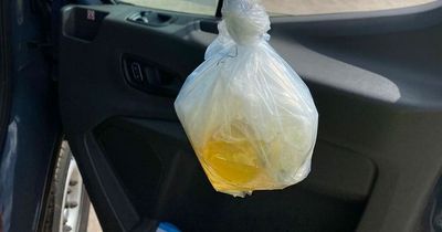 Amazon delivery driver finds 'bottles and bags of pee' in van in 'horrendous' working conditions