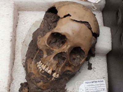 Hundreds of skulls found in Mexican cave were sacrificial victims killed between AD900 and 1200