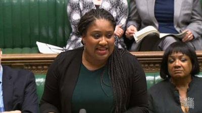 Labour MP Bell Ribeiro-Addy: Our democracy is not something to jerk off to