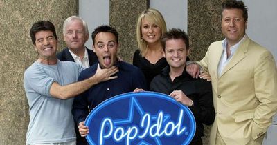 What the judges of Pop Idol are up to now - from A-list careers to court cases