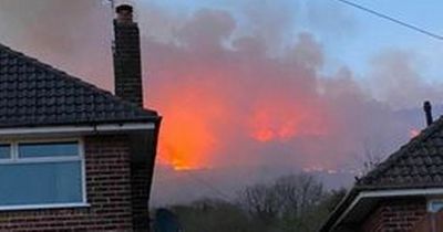 Police arrest teenager over Cavehill fire