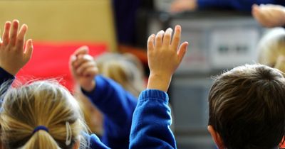 Over 9000 South Lanarkshire children have taken up free school meals
