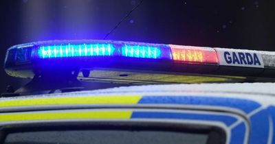 Gardai 'urgently' hunting black car with four inside after crime spree