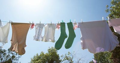Expert warns hay fever sufferers to avoid drying clothes outside as pollen levels rise