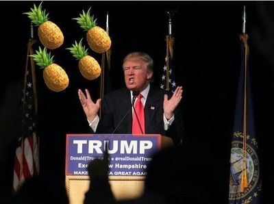 Like Donald Trump, I too fear getting sniped by a pineapple