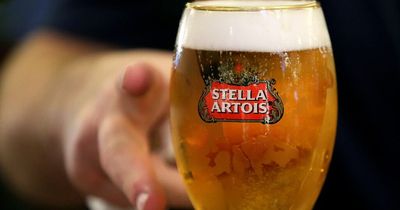 Strikes causing 'summer beer drought' possible after Budweiser workers receive 'insulting' pay offer