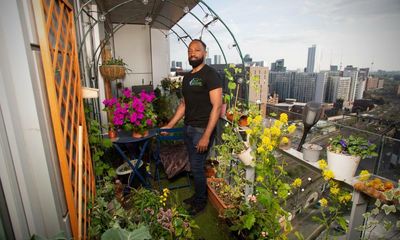 From the 18th floor to cloud nine: high-rise gardener gets Chelsea flower show spot
