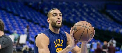 Rudy Gobert was a really good sport about getting stung by his own bee on the nose