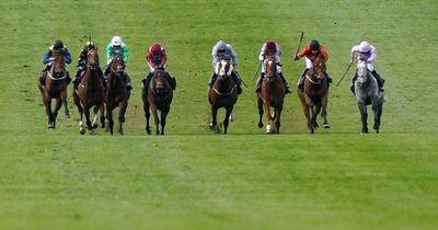 ITV Racing tips: Newsboy's Friday picks for ITV4 races from Newmarket and Goodwood