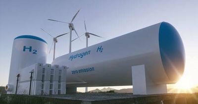 Newcastle well position in Australia's effort in global hydrogen push