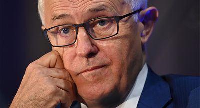 Every election needs a touch of Turnbull