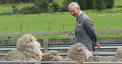 Cornwall fashion brand partners with Prince Charles on wool campaign
