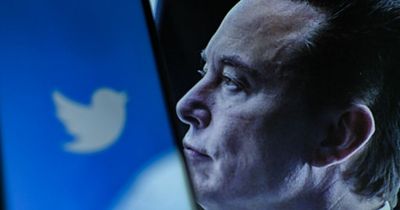 Elon Musk sells Tesla shares worth £3.2 billion after saying he will buy twitter