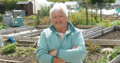 Demand for Dalbeattie allotments surges as food prices rocket