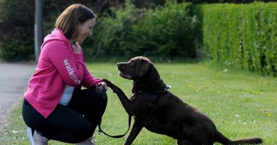 Dumfries teacher twice diagnosed with breast cancer preparing for London Moonwalk