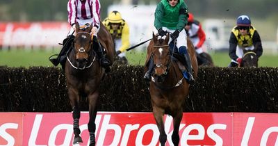 Punchestown Festival day 4 full race card and tips - list of runners Friday