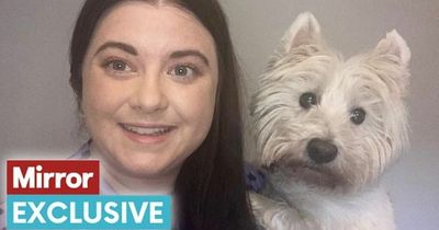 'A pet psychic told me what my dogs were thinking - some comments were eerily spot on'