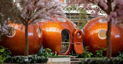 Free Tickets to Ideal Home Show Scotland 2022 - Five reasons why it is not to be missed!