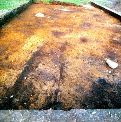Wheel I Never: Europes Oldest Stone Age Cart Tracks Found