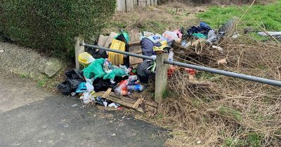 Bedminster fly-tipper who 'promised family' to dispose of waste slapped with £400 fine