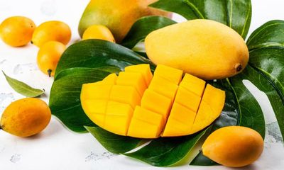 ‘The fruit really sings’: 10 mouth-watering mango recipes, from cocktails to carpaccio