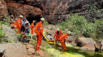 Port Hedland mother rescued from Karijini's Knox Gorge after bite from deadly brown snake