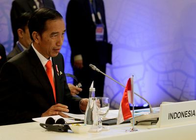G20 host Indonesia urges Zelenskiy, Putin to 'forge peace'