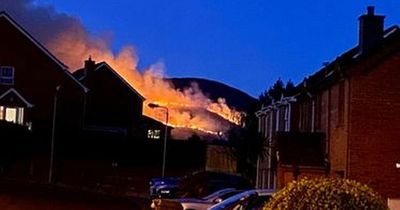 Belfast Cavehill fire tore through 3.5 acres of natural habitat