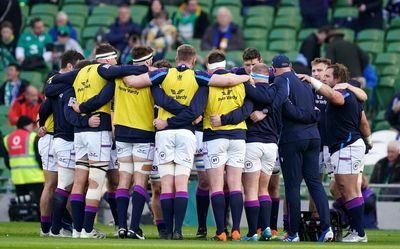 Scotland confirm Autumn Nations Series schedule at BT Murrayfield