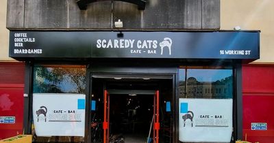Official opening date for Bub's Bar new Cardiff venture Scaredy Cat announced