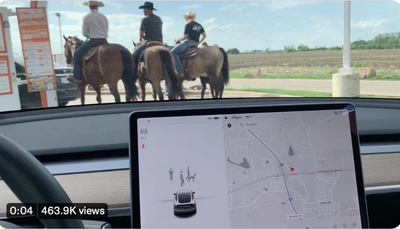 Elon Musk defends Tesla’s current inability to recognise horses at a Texas burger drive-thru