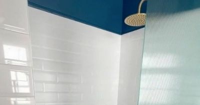 Woman swears by three-step cleaning routine to get shower looking good as new